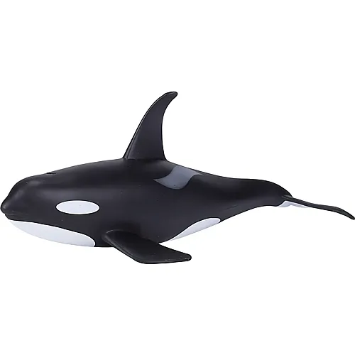 Mojo Sealife Mnnlicher Orca