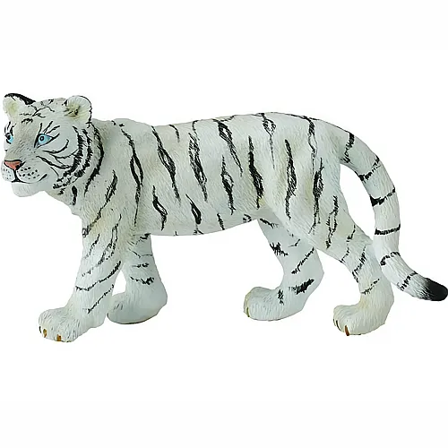 CollectA Wild Life Asia & Australasia Weisses Tigerjunges gehend