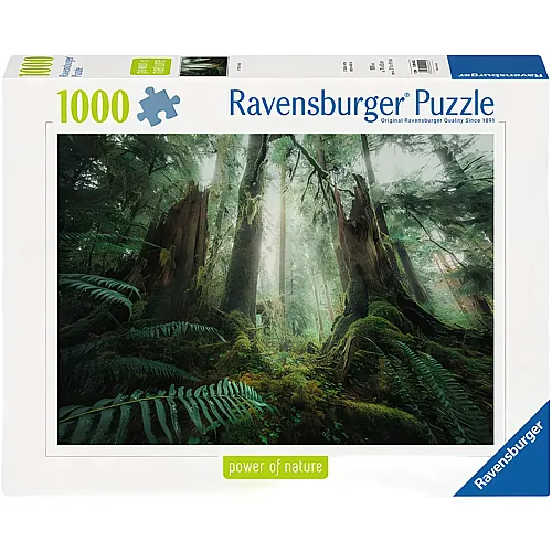 Faszinierender Wald - 1000 Teile