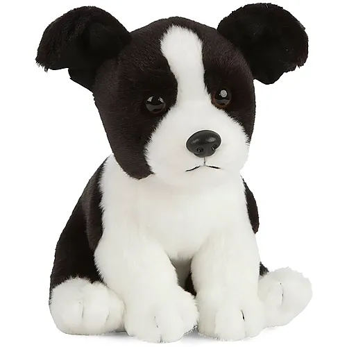 Living Nature Border Collie Welpe (16cm)