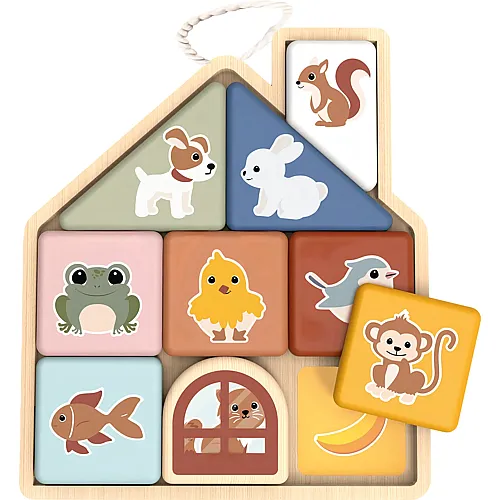 Speedy Monkey Magnet Puzzle Haus