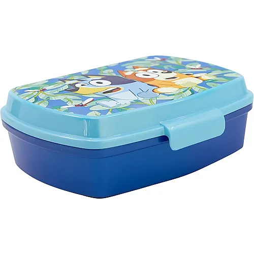 Rechteckige Lunchbox