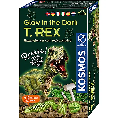 Fossilien T-Rex Nachtleuchtend