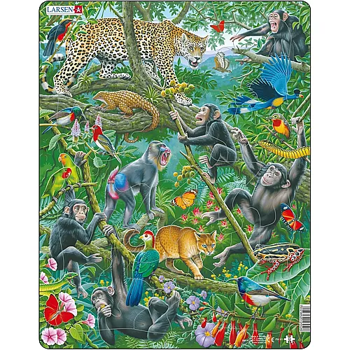 Larsen Puzzle Afrikanischer Regenwald - 32 Teile