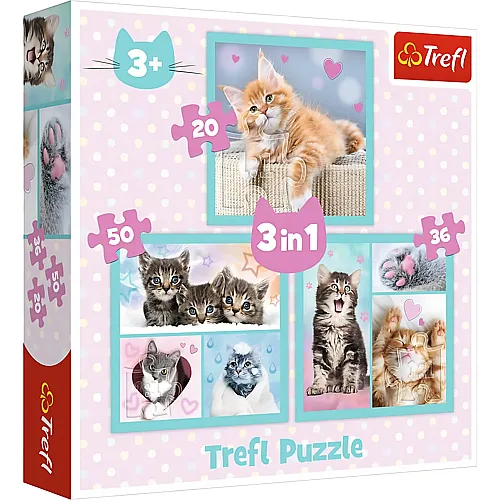3in1 Katzen 20-50