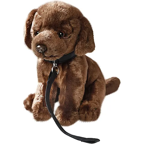 Carl Dick Labrador mit Leine Dunkelbraun - 25 cm