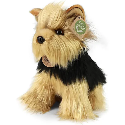 Teddys Rothenburg Yorkshire Terrier - 25 cm