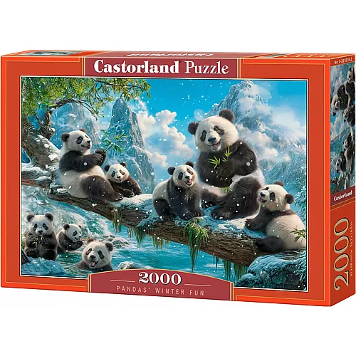 Pandas' Winter Fun 2000Teile