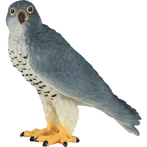 Mojo Wildlife Wanderfalke