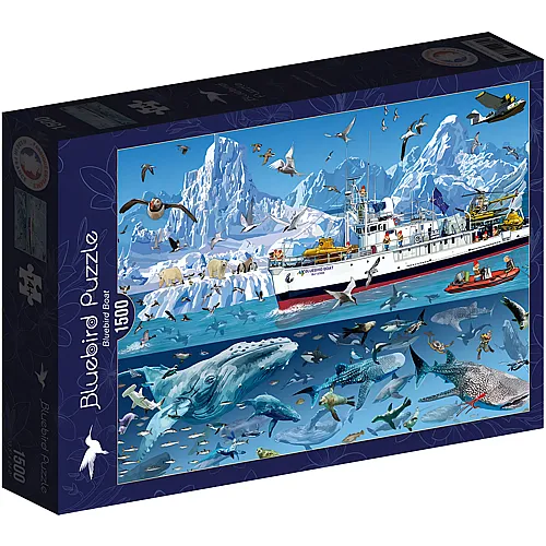 Bluebird Puzzle Fran�ois Ruyer Arctic - Bluebird Boat - 1500 Teile