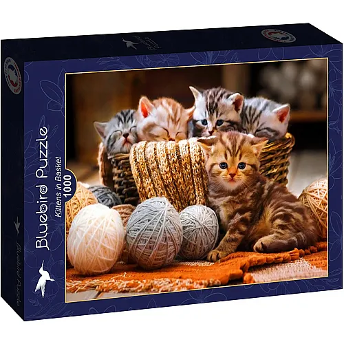 Bluebird Puzzle Kittens in Basket - 1000 Teile