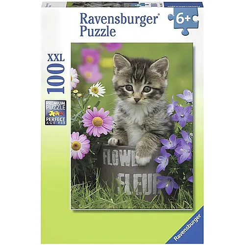 Kleines K�tzchen in den Blumen 100Teile