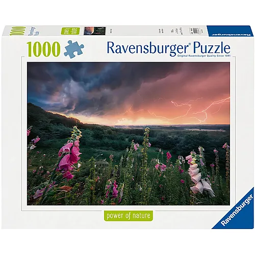 Ein Sturm zieht auf - 1000 Teile