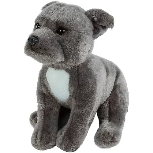 Teddys Rothenburg Pitbull American Staffordshire Terrier - 30 cm