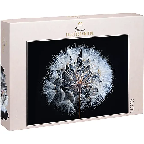 Pusteblume - Detailaufnahme eines reifen L�wenzahn - 1000 Teile