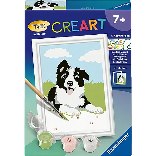 Ravensburger CreArt Malen nach Zahlen Border Collie Welpe