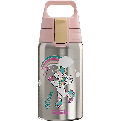 Edelstahl Trinkflasche Uni Skate 500ml
