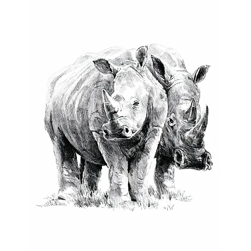 Royal & Langnickel R&l Sketching Std Rhinoceros 24x33cm