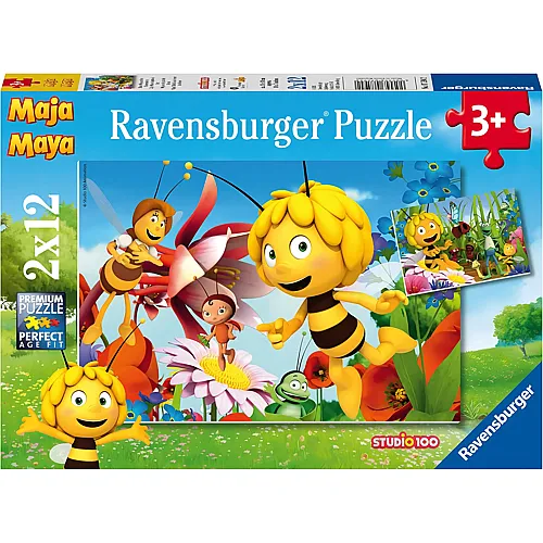 Auf der Blumenwiese 12Teile
