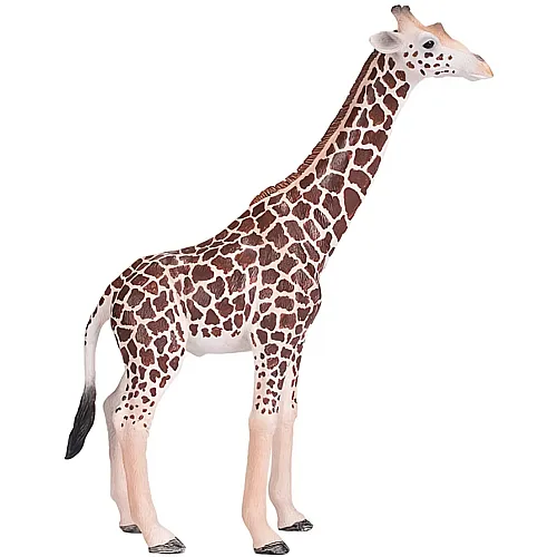 Mojo Wildlife Giraffenmnnchen