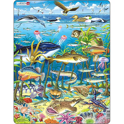 Larsen Puzzle Meeresbewohner - 60 Teile