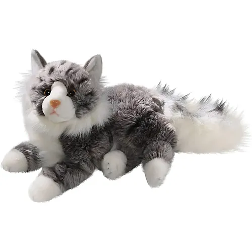 Maine Coon 30cm