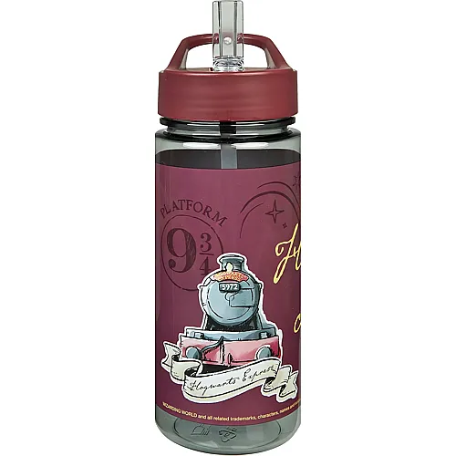 Undercover Harry Potter Trinkflasche - 500 ml