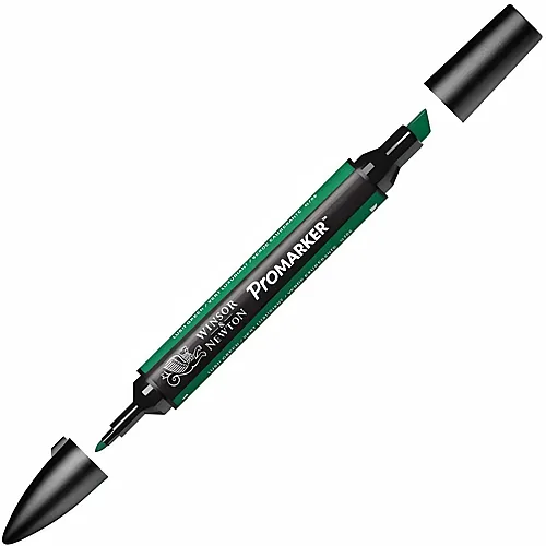Winsor & Newton Promarker mit 2 Spitzen Sattes Gr�n