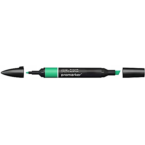 Winsor & Newton Promarker Stift mit 2 Spitzen Smaragd