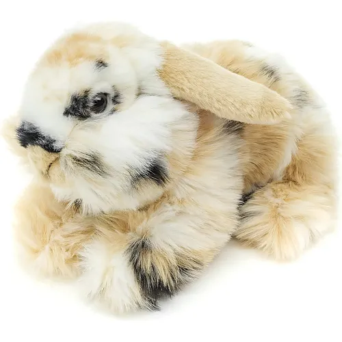 L�wenkopf-Kaninchen mit h�ngenden Ohren - 23 cm