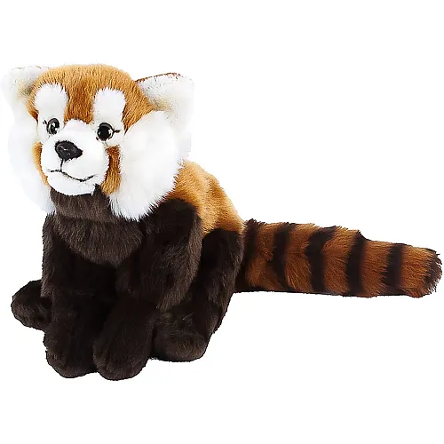 Teddys Rothenburg Roter Panda - 37 cm