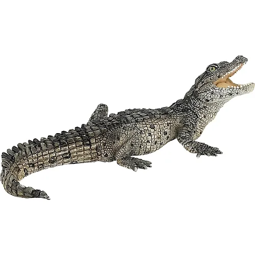 Krokodiljunges