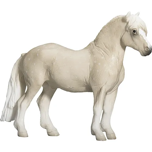 Mojo Welsh-Pony