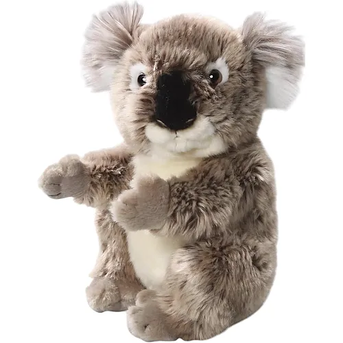 Carl Dick Koala B�r - 22 cm