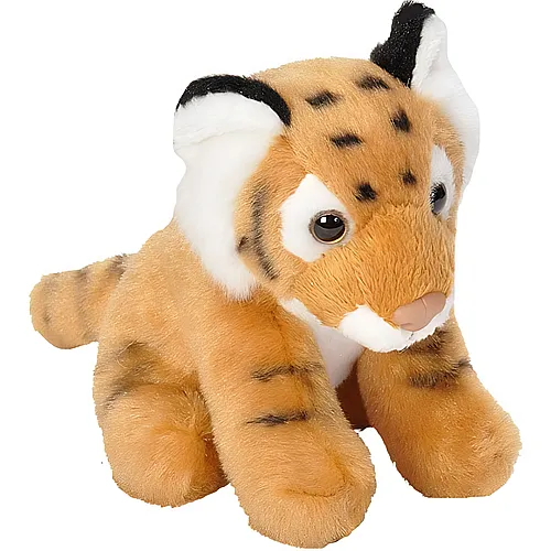 Tiger 13cm