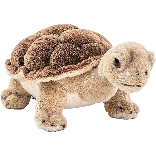 Landschildkr�te - 19 cm