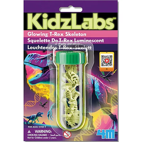 4m Leuchtendes T-Rex Skelett