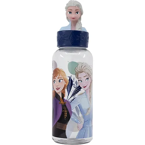3D Trinkflasche 560ml
