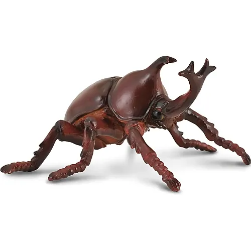 CollectA Little Wonders Insects & Spiders Nashornkfer