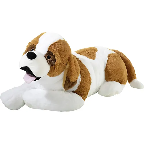 Bernhardiner Hund 100cm