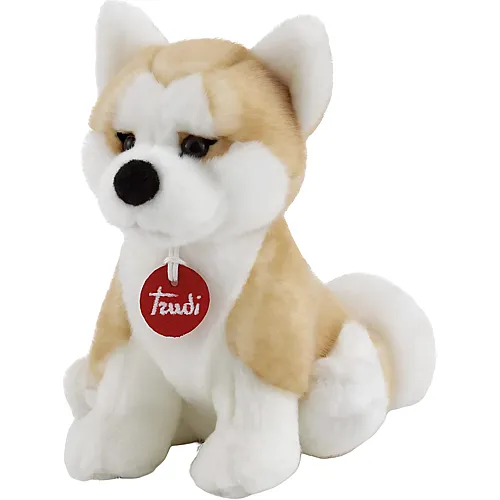 Akita Ascanio - 21 cm