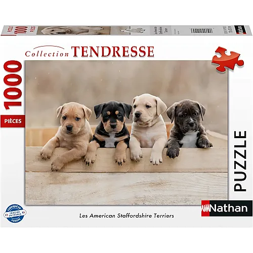 American Staffordshire Terrier - 1000 Teile