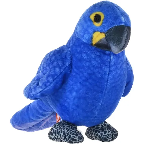 Hyacinth Macaw - 12 cm