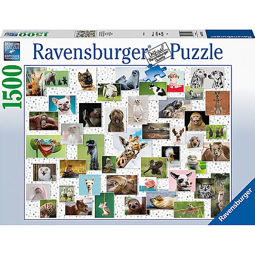 Funny Animals Collage - 1500 pieces