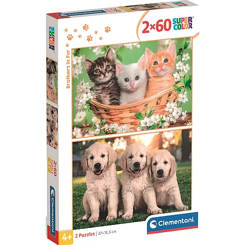 Clementoni Puzzle Supercolor 2in1 Br�der im Pelz - 60 Teile