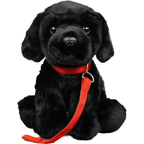 Teddys Rothenburg Labrador mit Leine Schwarz - 28 cm