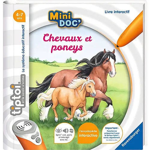 Chevaux et poneys FR