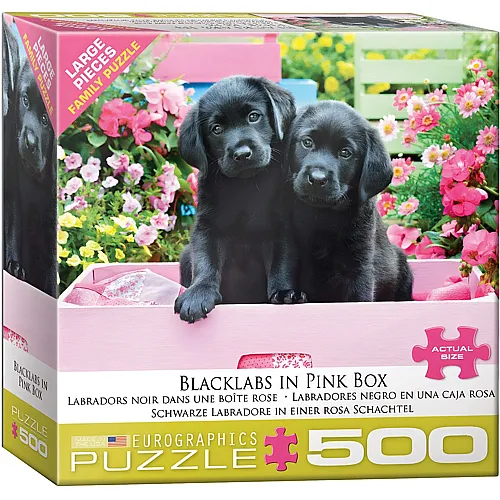 Eurographics Puzzle Black Labs in Pink Box - 500 Teile