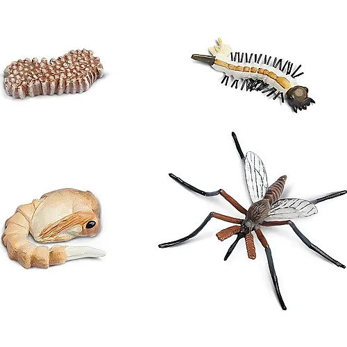 Safari Ltd. Safariology Lebenszyklus eines Mosquito