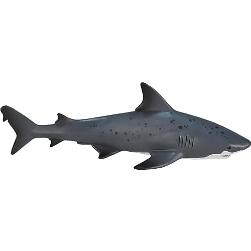 Mojo Sealife Bullenhai